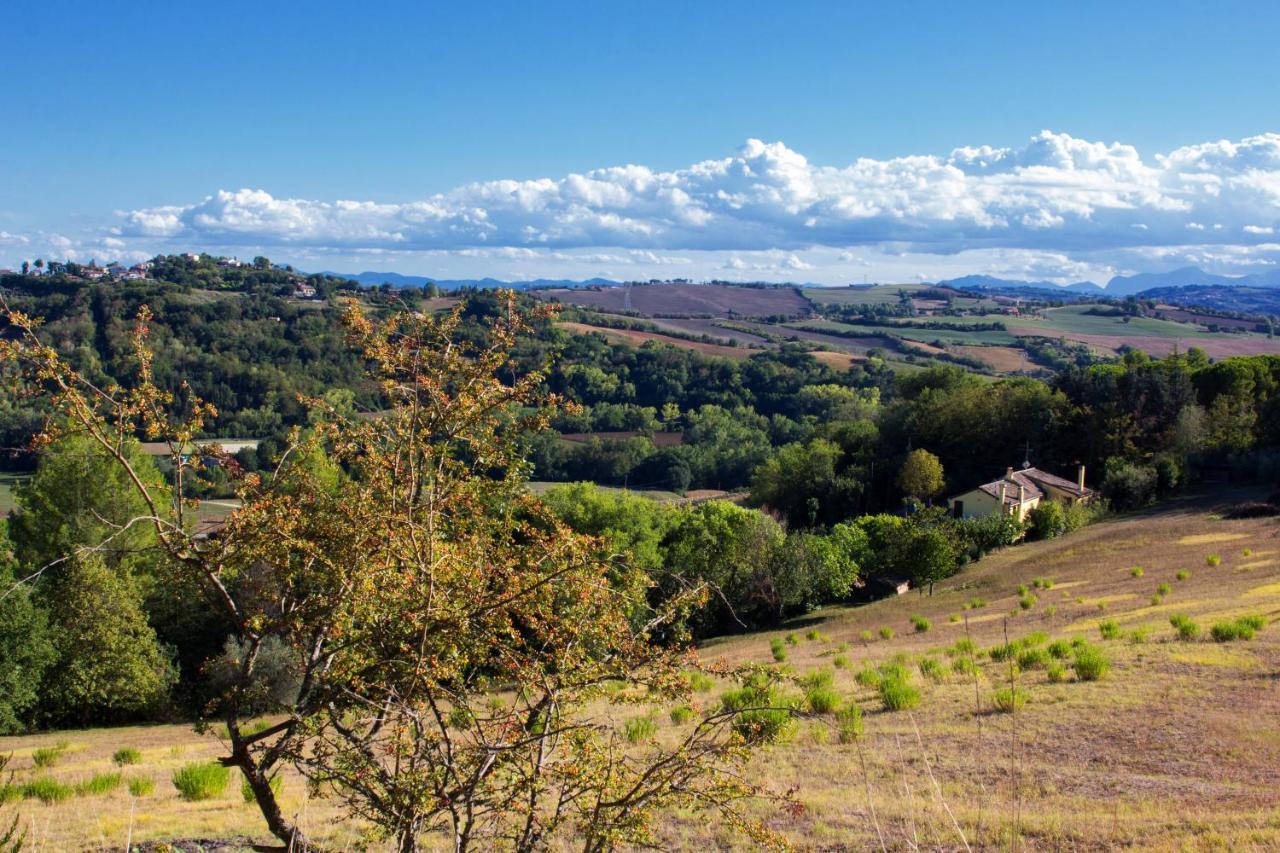 B&B Salvarosa Fano Exteriér fotografie