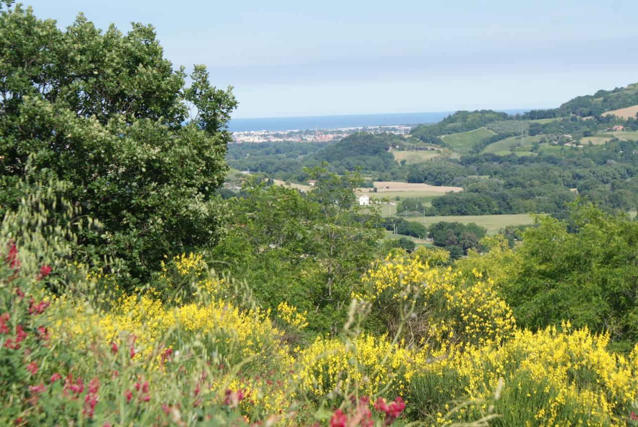 B&B Salvarosa Fano Exteriér fotografie